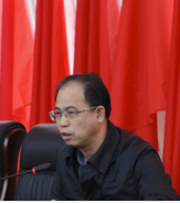 何振